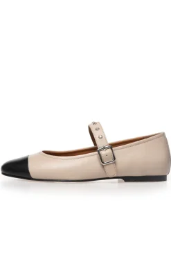 Dreaming Of Love CS8528