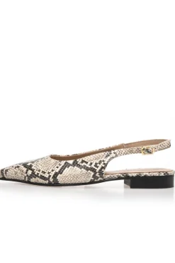 Forever And Ever CS8549