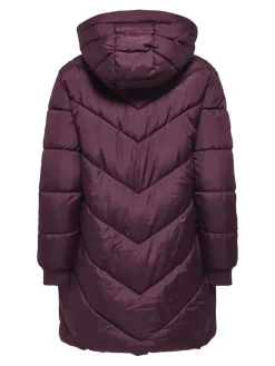 Jdyskylar Life Hood Jacket