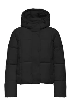Jdywonder Short Hood Puffer Sij