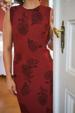 Kelsa Rose Dress 167233