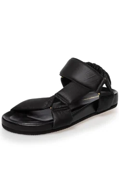 My Summer Days CS7823