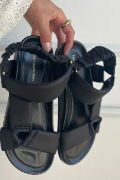 My Summer Days CS7823