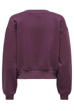 Onlbonet L/S O-Neck Swt