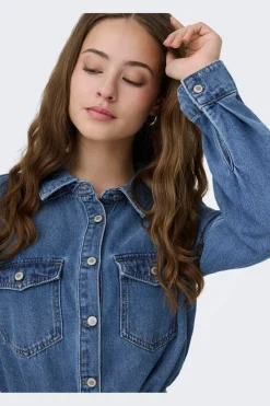 Onllisa L/S Dress Gua