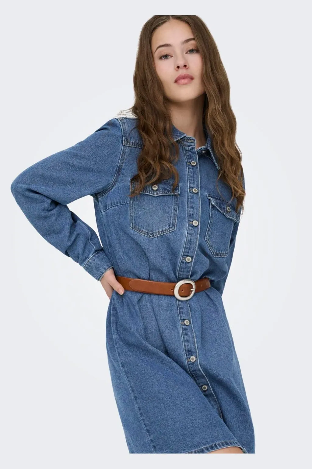 Onllisa L/S Dress Gua