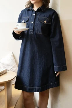 Paras Denim Dress 163381