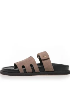 Summer Passion Plain CS8496