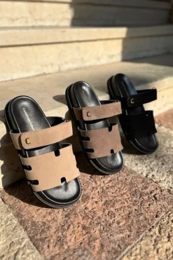 Summer Passion Plain CS8496