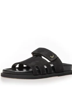 Summer Passion Plain CS8496