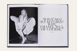 The Essence Of Chanel HS1009