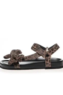 The Summer Breeze Lep CS8449