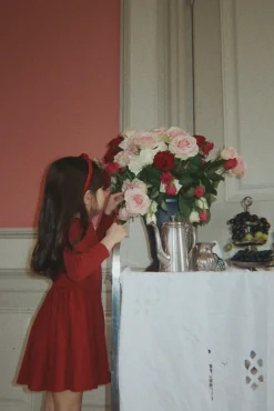 Velvet Bow Hairbrace Ks104462